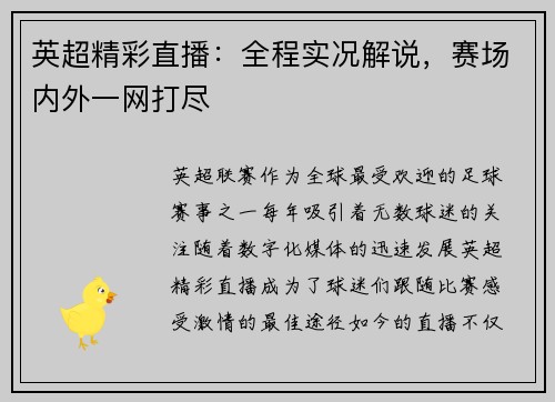 英超精彩直播：全程实况解说，赛场内外一网打尽